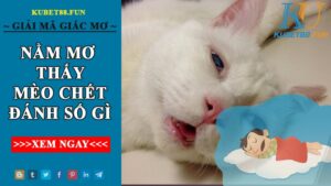 Ngủ Mơ Thấy Ngoài Đường Mèo Chết Đánh Con Gì Thì Trúng Lớn?