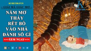 Rết Bò Vào Nhà Đánh Số Mấy Và Ý Nghĩa Của Rết Trong Lô Đề