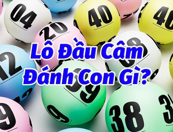 Cùng nhau tìm hiểu đánh gì cho lần sau khi có lô đầu câm